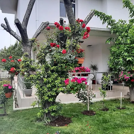 Kilyos Serendipity Istanbul