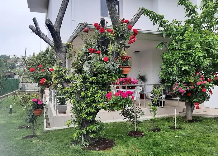 Kilyos Serendipity Istanbul